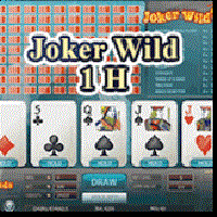 1H Joker Wild